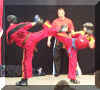 awn_2004_02.jpg (28565 Byte)