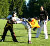 so_la_2006_43.jpg (36493 Byte)