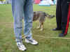 sl_2008_029.jpg (88521 Byte)