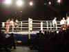 wm_hasel_2008_008.jpg (56253 Byte)