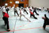bol_2008_13.jpg (51789 Byte)