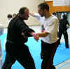 bol_2008_17.jpg (40649 Byte)
