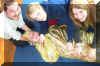 ehk_mall_2004_12.jpg (47494 Byte)